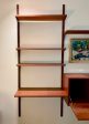 Poul Cadovius Cado Royal Wall Unit in Teak Fashion